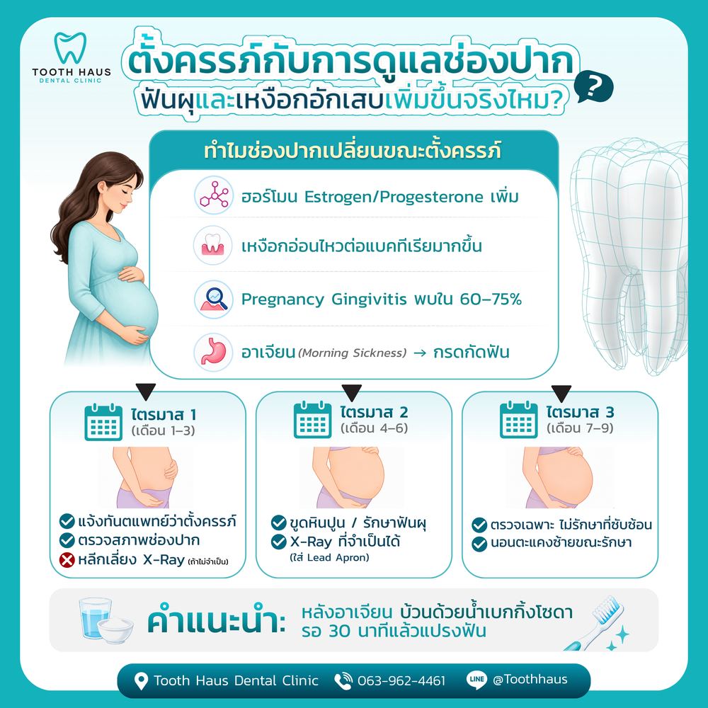 การดูแลช่องปากขณะตั้งครรภ์ แยกตามไตรมาส 1-3 — Tooth Haus Dental Clinic